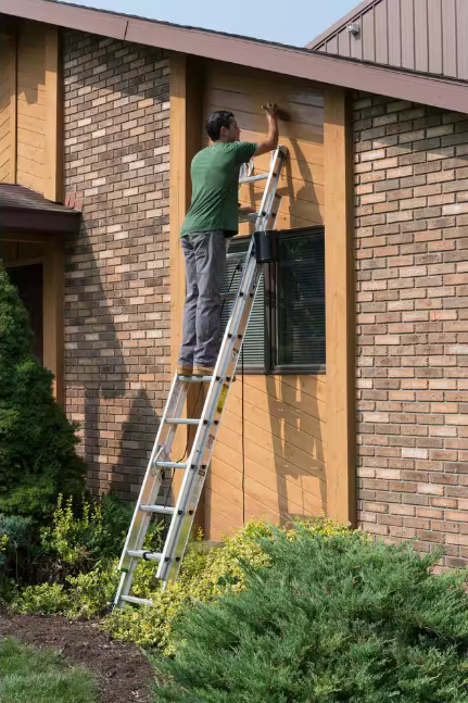 Werner 24 ft. Aluminum Extension Ladder (23 ft. Reach Height) with 225 lb. Load Capacity